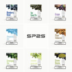 【SP2S思博瑞】SP2S思博瑞煙彈 | 通用一代 | 三顆裝
