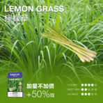 【MEHA魅嗨】MEHA魅嗨煙彈 | 通用一代 | 三顆裝升級3ml：圖片 8